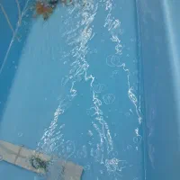 فروش ماهی کوی و گلدفیش و ردگپ