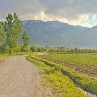 زمین تفریحی