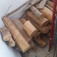 فروش چوب کاج
