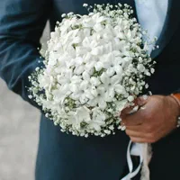 تشریفات پیوند بهترین پکیج اقتصادی