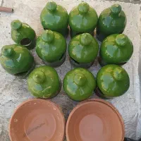 ابخوری کبوتر