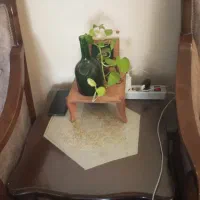 مبلمان