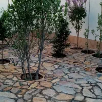 شرکت نظافتی و خدماتی صدف