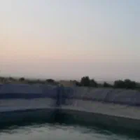 باغ-انگور
