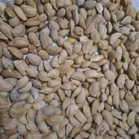 هرعزیزی گردوداره،بگه میام براش میتکونم