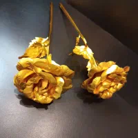 هدیه شاخه گل رز طلایی کد۰۰۳۳