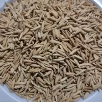 سه تن شلتوگ ضیغمی درجه یک