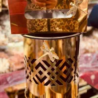 سطل وجا دستمال استیل فورتیک ضمانتی