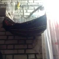 قفس پرنده کارکرده