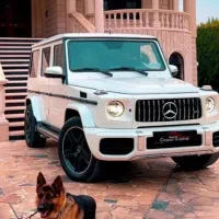 صدوربیمه نامه به صورت اقساط ونقد