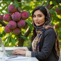 فروش نهال گردو بادام سیب سنجد صنوبر به فندق گلدانی