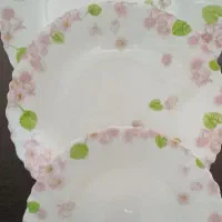 ۳ دست پیش دستی ۶ دست بشقاب برنج