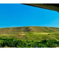 باغ گلدشت.