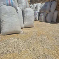 کاه گندم جدید قیمت 210 هزار تومان