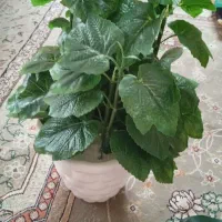 درختچه مصنوعی برگ انگوری