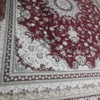 قالی|فرش|دورود, |دیوار