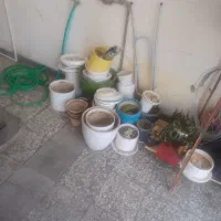 فروش انواع گلدان