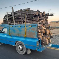 خرید همه نوع چوب نقدی