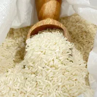 طلای سفید گیلان برنج هاشمی
