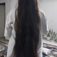 کوتاهی مو.