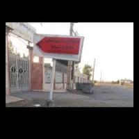 جایگاه عرضه دام و گوسفند مرغ زنده شهرداری