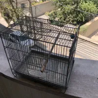 قفس سهره