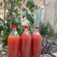 ابغوره ارگانیک درجه یک