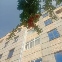 راهنمایی مسافر