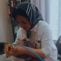 تخفیف ویژه فشیال، پاکسازی صورت، تجربه ای متفاوت