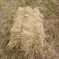 پرس کاه