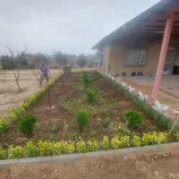 اتاق مجانی