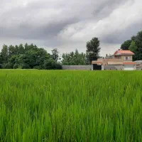 ویلای ویو سبز