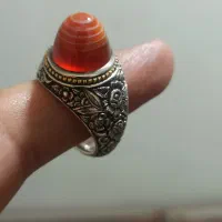 فدیوم بهزاد،گاچی