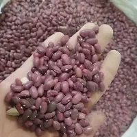 فروش عمده حبوبات