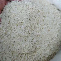 برنج عنبربو