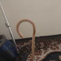 عصا یا همون گوچان