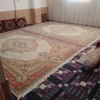 دوتا قالی ۲ونیم در سه ونیم