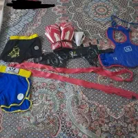 وسایل ورزشی ووشو  و دستکش بوکس