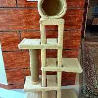 اسکرچر گربه