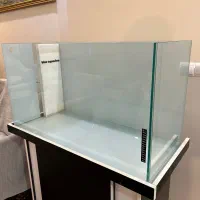اکواریوم