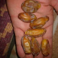 رطب عمده