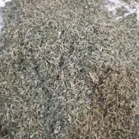 سلام‌فروش‌پرشمبلیله‌‌تر‌تمیز