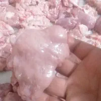 خوش گوشت گوسفندی تازه
