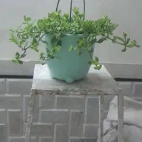 سطل دست دوم تمیز زباله گلدان