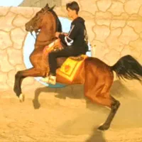 نریان نژاد کورد ترک