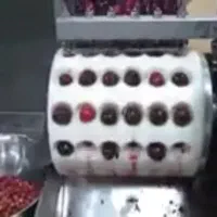 فروش دستگاه هسته گیر تمام استیل