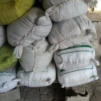 جو محلی
