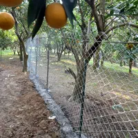 تولیدی فنس شهسوار