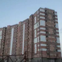 زندگی در دانش