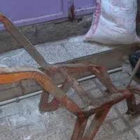 فرغون